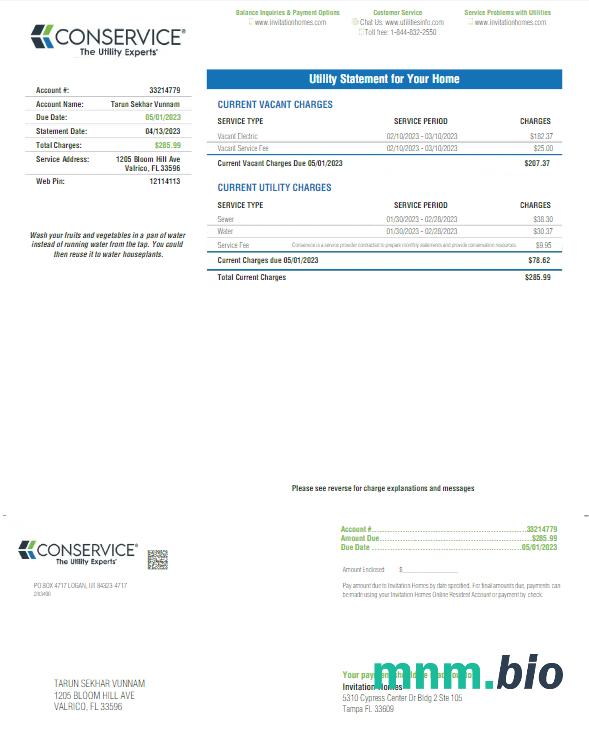 USA FLORID a CONSERVRICE rachunek za media Word i PDF template